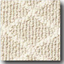 Patterned Loop Berber carpeting - Homefloorguide.com